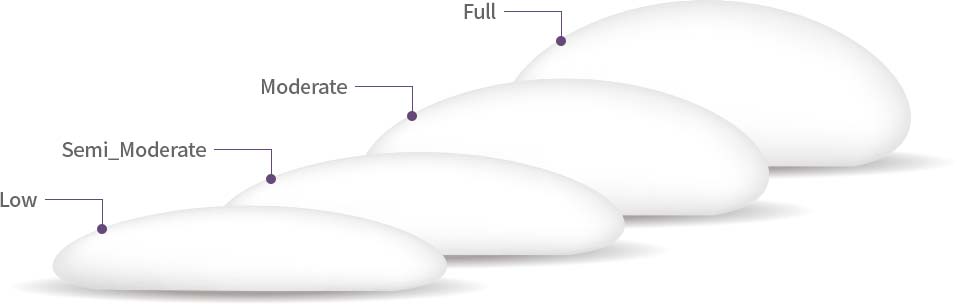 Low, Semi_Moderate, Moderate, Full