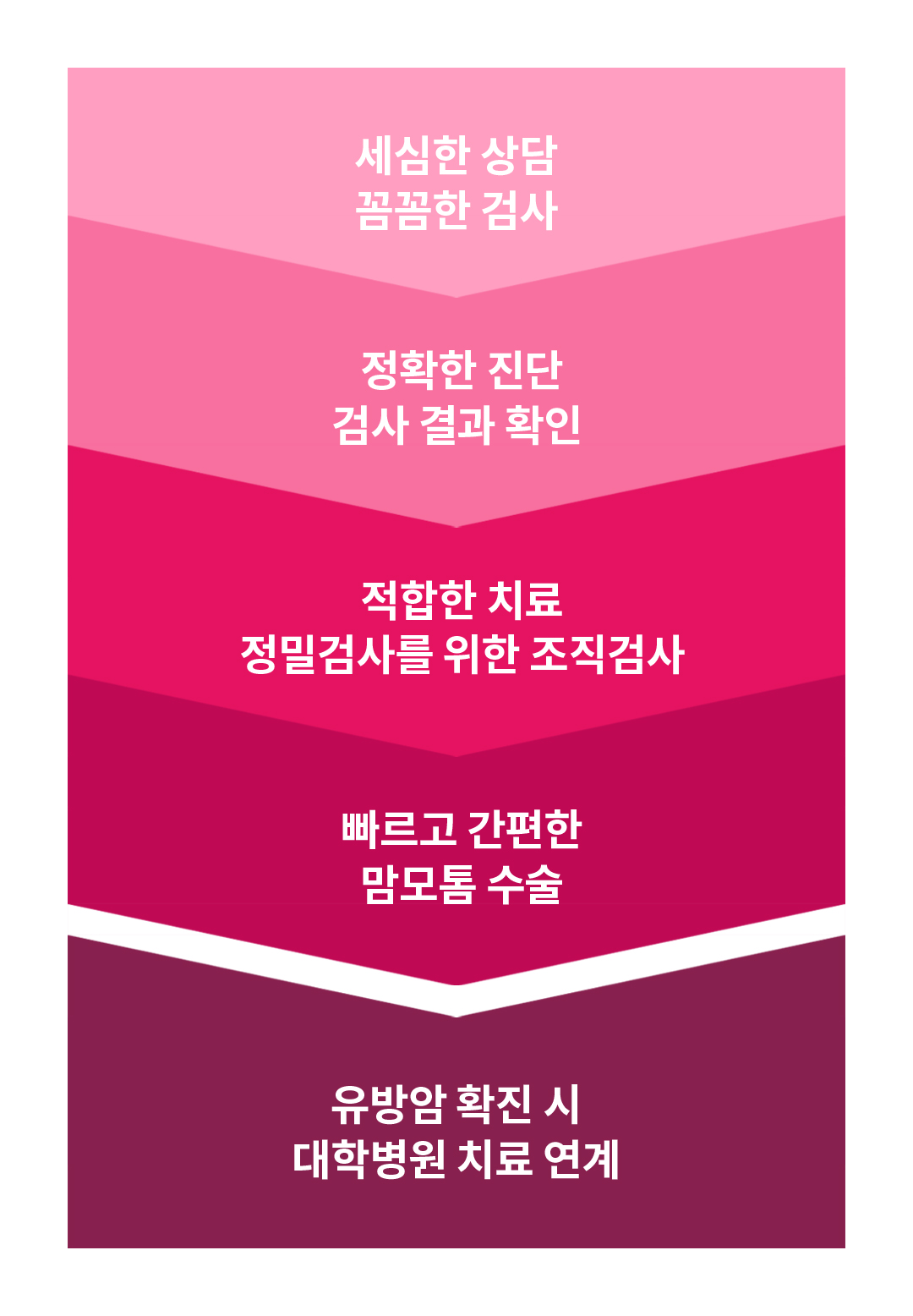 세심한 상담 꼼꼼한 검사,정확한 진단 검사 결과 확인,적합한 치료 정밀검진을 위한 조직검사,빠르고 간편한 맘모톰 수술,유방암 확진 시 대학병원 치료 연계