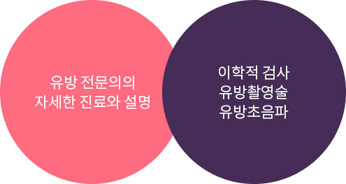 유방 전문의의 자세한 진료와 설명, 이학적 검사 / 유방촬영술 / 유방초음파